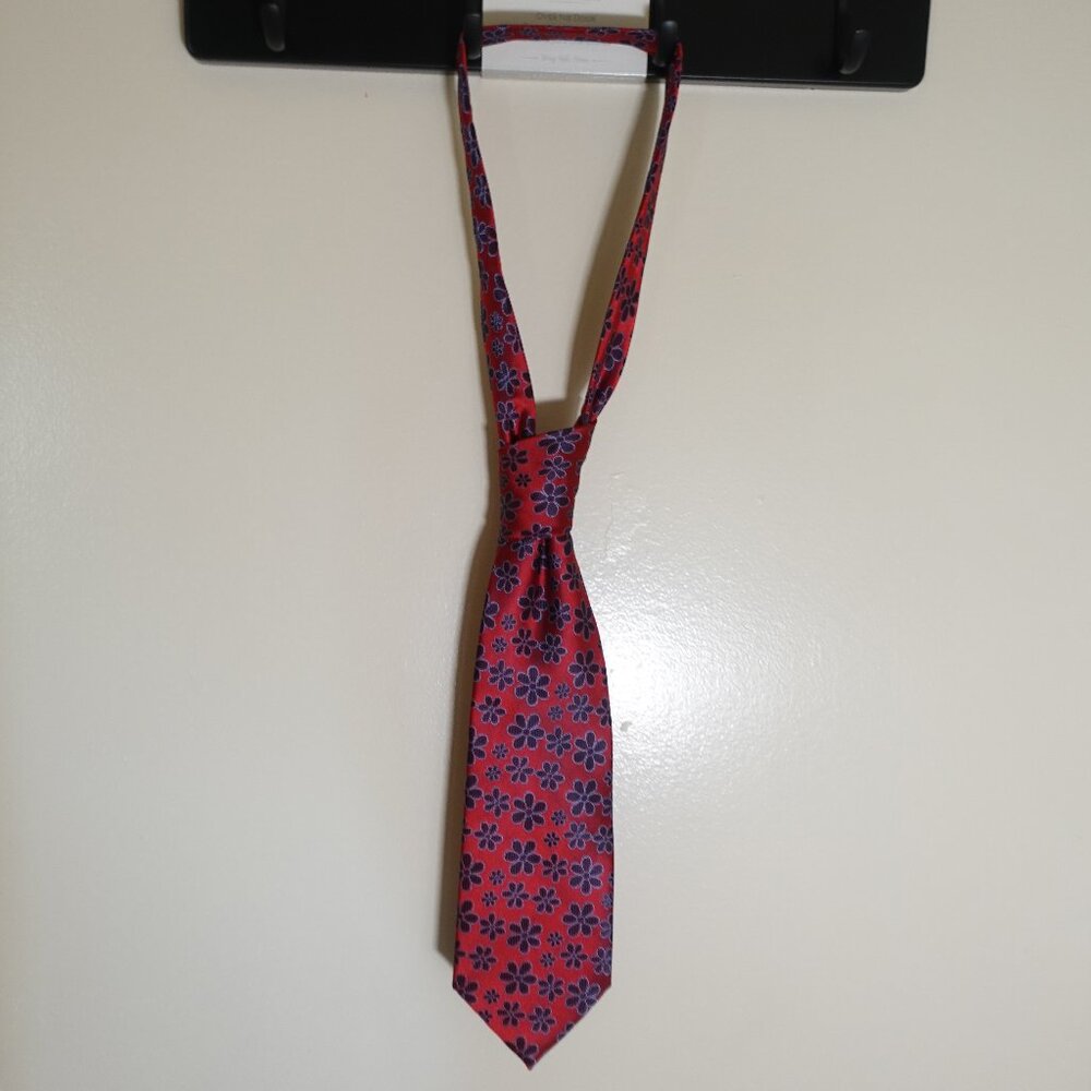 Silk Neck Tie - Why Not by Larritus